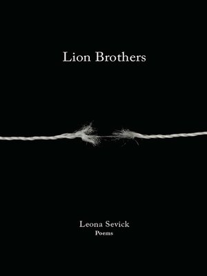 cover image of Lion Brothers